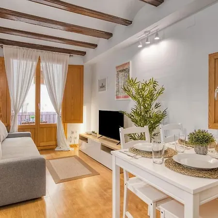 Precioso Loft, Ubicado En El Corazon De Valencia